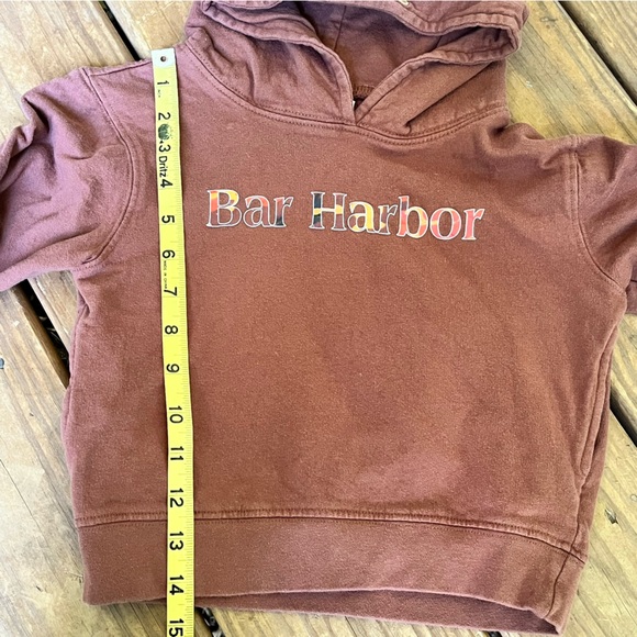 Wild Child Hoodie Moose Head Bar Harbor Size 4T Pockets Brown - Picture 6 of 9